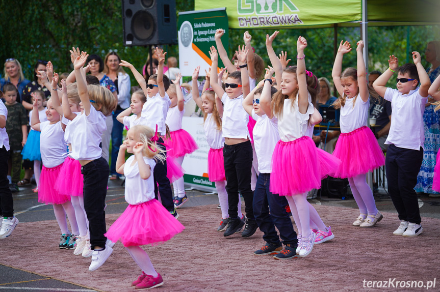 Piknik Rodzinny w Świerzowej Polskiej [ZDJĘCIA]