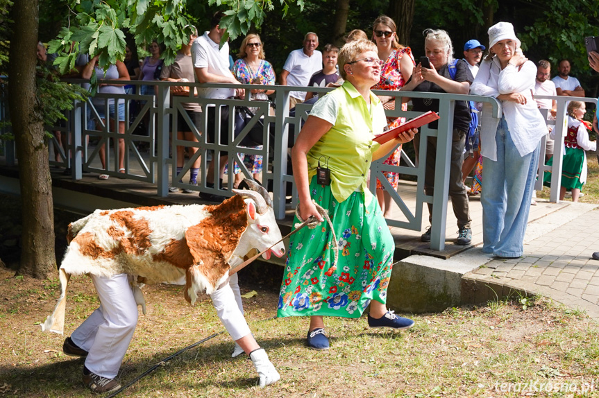 Rymanów-Zdrój tętni smakiem – trwa Festiwal Smaków Regionalnych