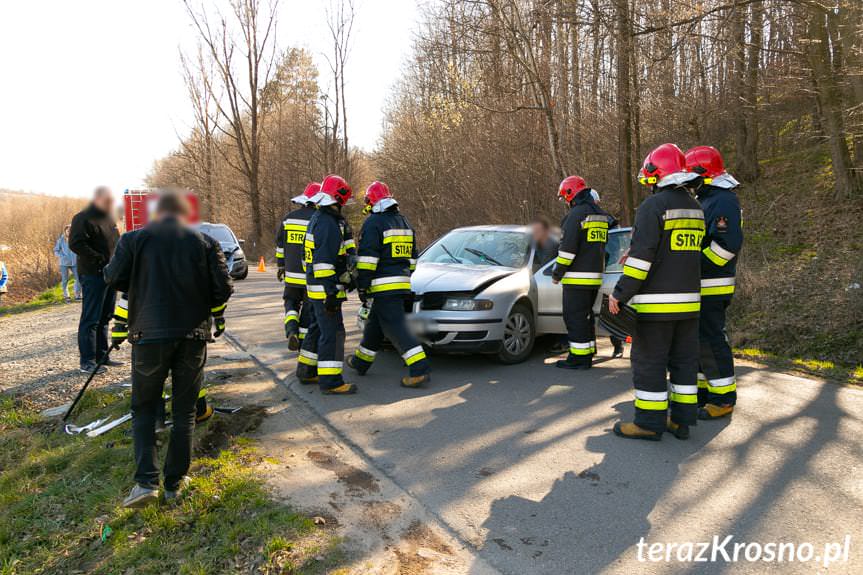 Czołowe zderzenie w Rogach