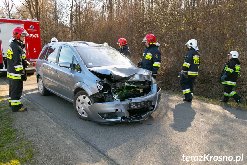 Czołowe zderzenie w Rogach