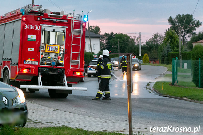 Kolizja w Jedliczu