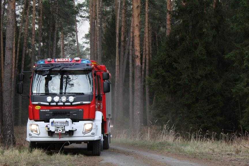 Olbrzymi pożar lasu spłoneło około 50 hektarów 