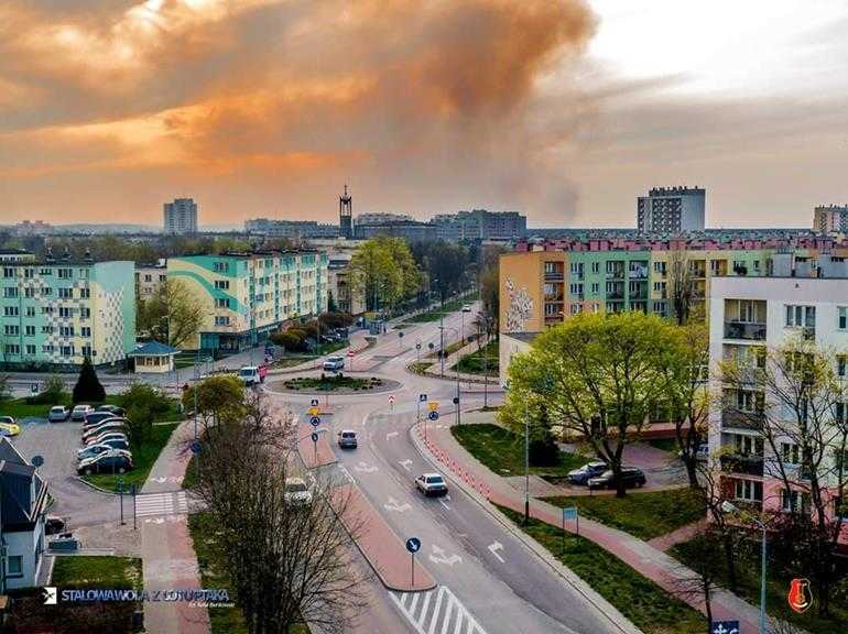 Olbrzymi pożar lasu spłoneło około 50 hektarów 