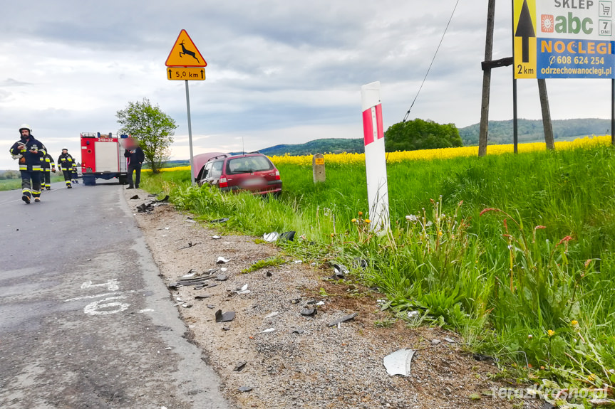 Pastwiska. Zderzenie dwóch samochodów osobowych