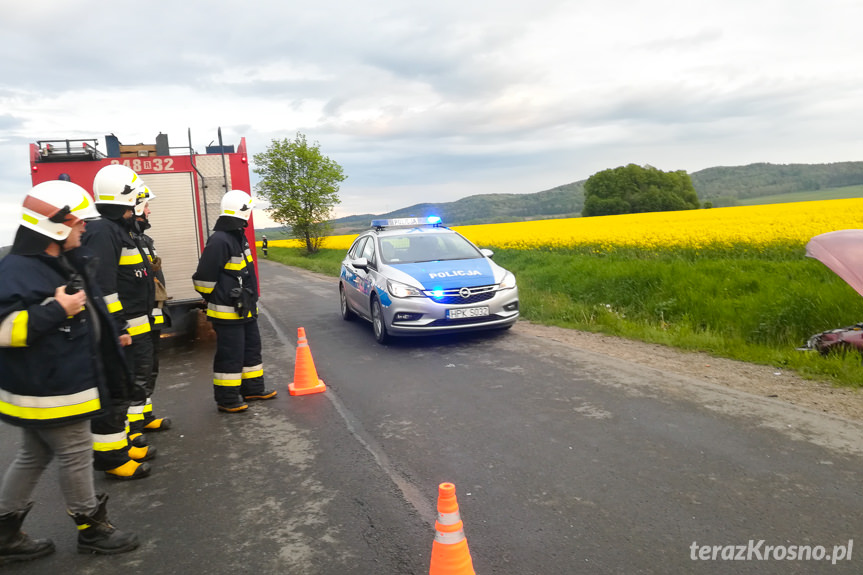 Pastwiska. Zderzenie dwóch samochodów osobowych