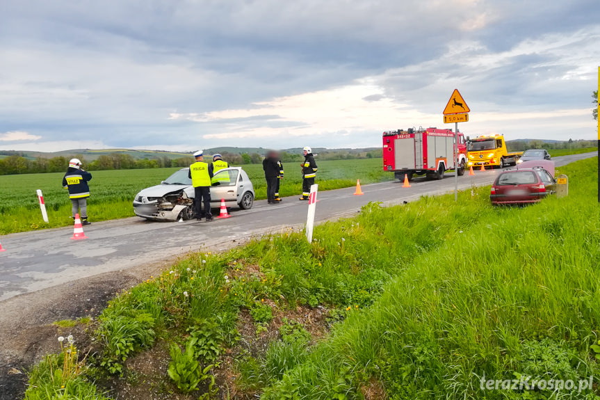 Pastwiska. Zderzenie dwóch samochodów osobowych