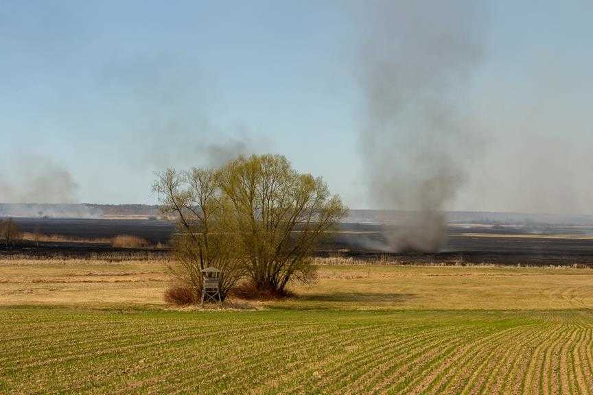 Polska Australia-olbrzymi pożar w Parku Narodowym  