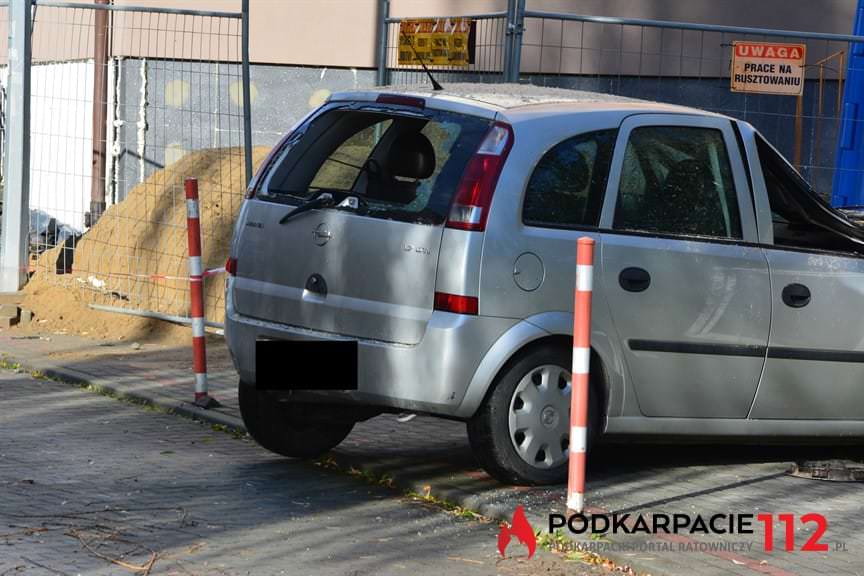 Powalone drzewo na ulicy Hanasiewicza 