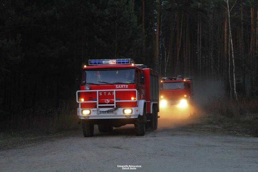 Pożar lasu w okolicy stalowej woli 