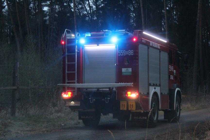 Pożar lasu w okolicy stalowej woli 