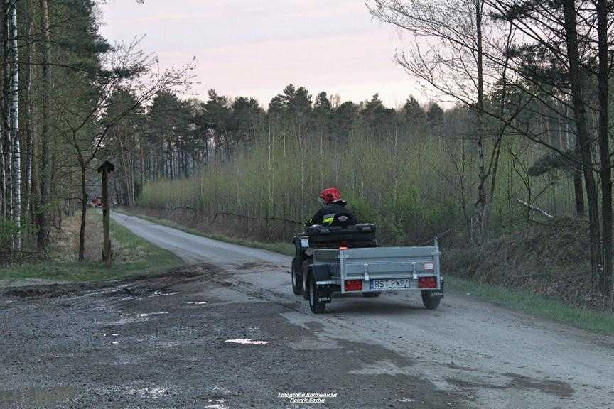 Pożar lasu w okolicy stalowej woli 