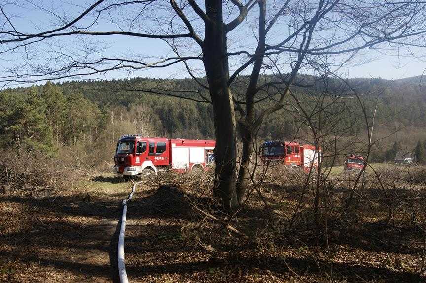 Pożar lasu w Parku narodowym 