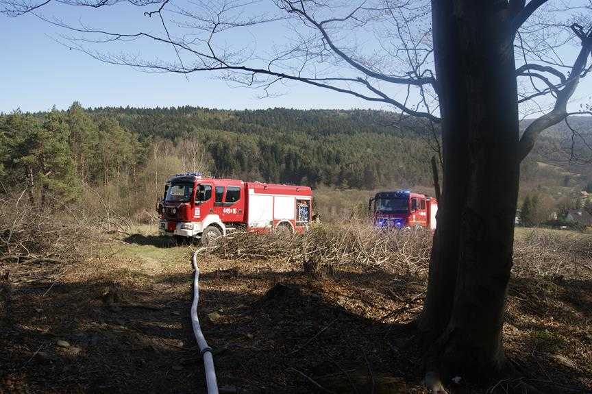 Pożar lasu w Parku narodowym 