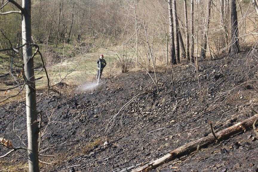 Pożar lasu w Parku narodowym 