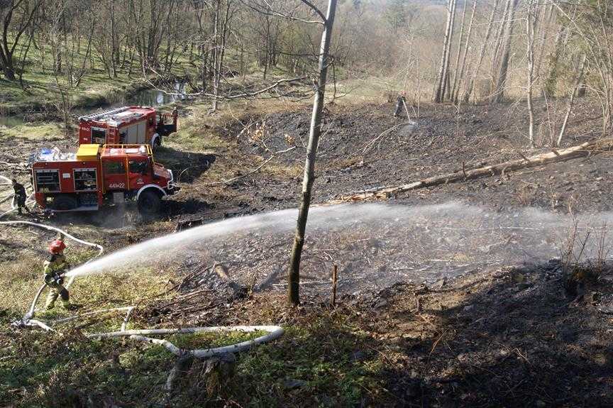 Pożar lasu w Parku narodowym 