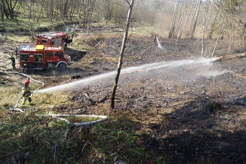 Pożar lasu w Parku narodowym 