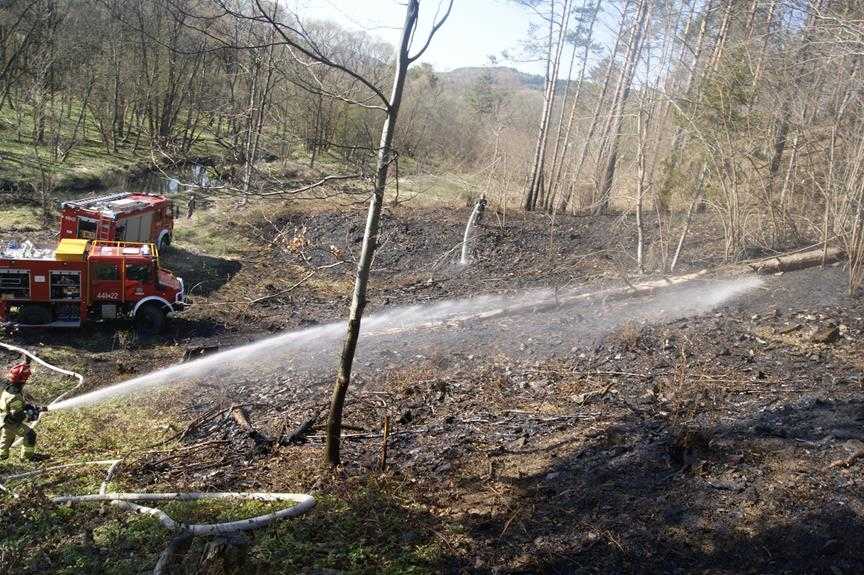 Pożar lasu w Parku narodowym 