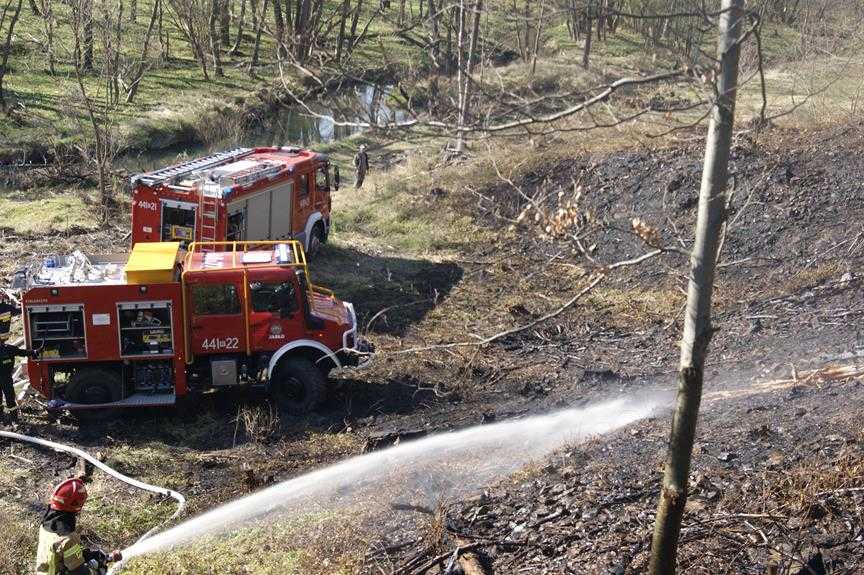 Pożar lasu w Parku narodowym 