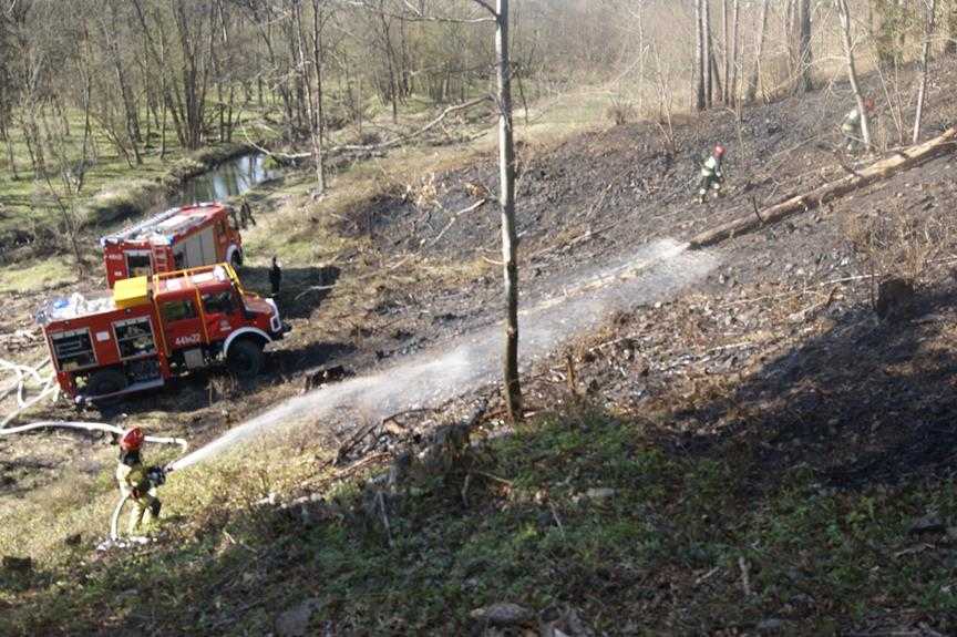 Pożar lasu w Parku narodowym 