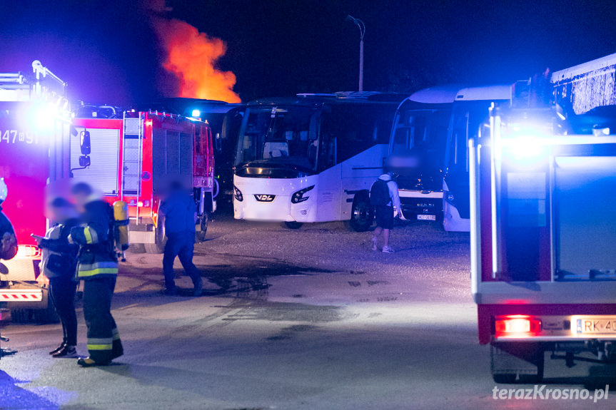 Pożar w Krośnie. Na zajezdni spłonęło kilka autokarów