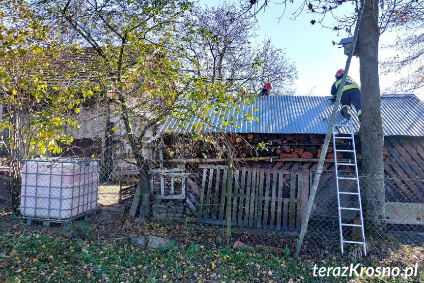 Pożar w Odrzykoniu