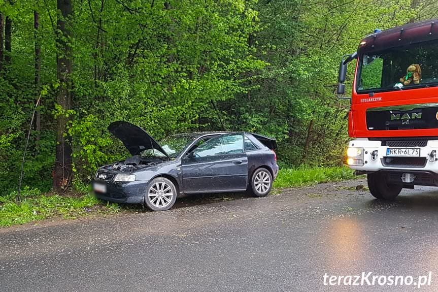 Rogi. Kierujący audi uderzył w drzewo