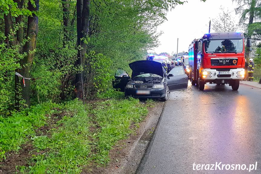 Rogi. Kierujący audi uderzył w drzewo