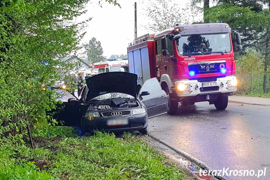 Rogi. Kierujący audi uderzył w drzewo