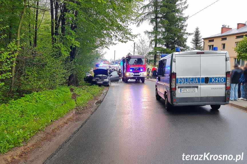 Rogi. Kierujący audi uderzył w drzewo