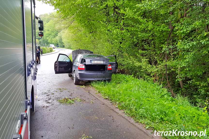 Rogi. Kierujący audi uderzył w drzewo