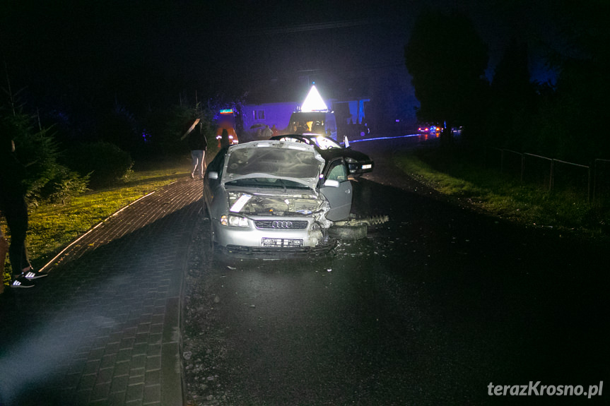 Rogi. Zderzenie forda i audi