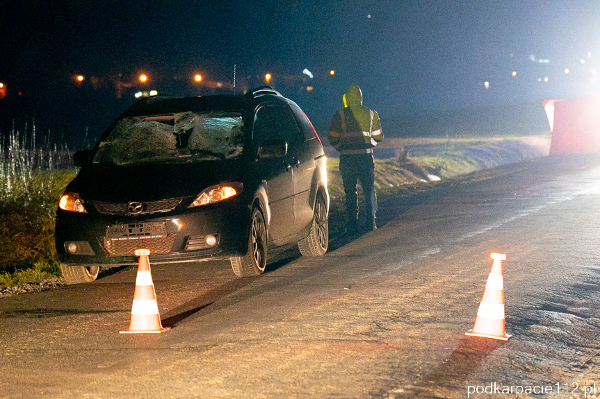 Śmiertelny wypadek w Trześniowie