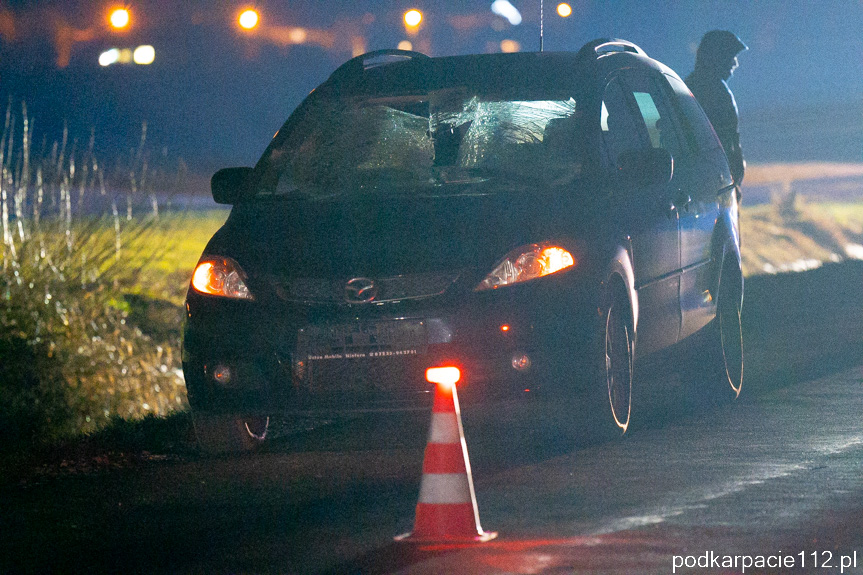 Śmiertelny wypadek w Trześniowie