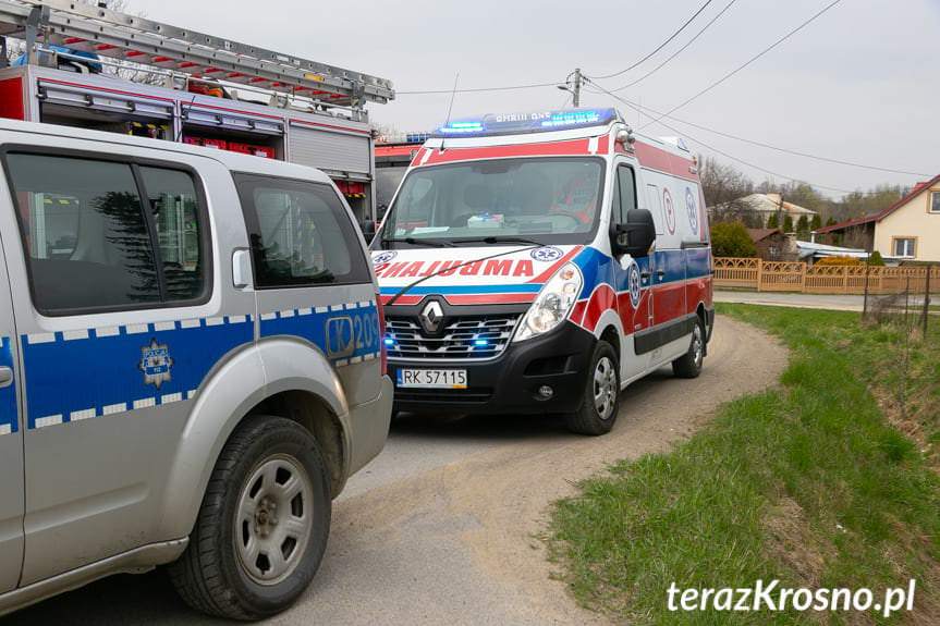 Zderzenie hondy i audi w Cergowej