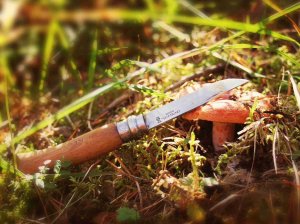 Areszt tymczasowy dla 85-latka za usiłowanie zabójstwa
