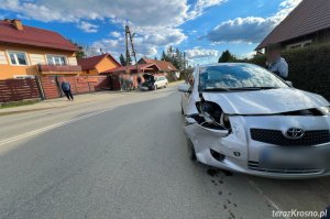 Kolizja we Wróbliku Królewskim