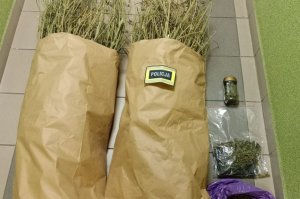 Odpowiedzą za posiadanie narkotyków