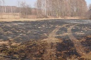 Odpowiedział za podpalenia i bezpodstawne wezwanie służb
