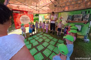 Piknik Ekologiczny "EkoKrosno"