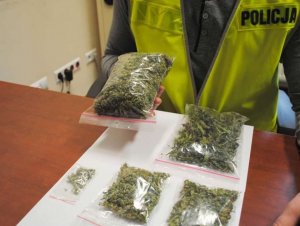 Policjanci zatrzymali prawie 100 gramów narkotyku