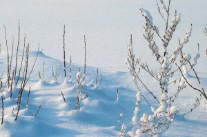 Pomogli mężczyznom, którym groziło zamarznięcie  
