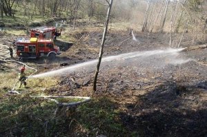 Pożar lasu w Magurskim parku narodowym 