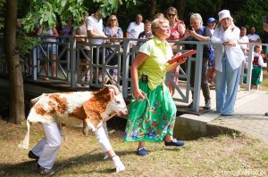Rymanów-Zdrój tętni smakiem – trwa Festiwal Smaków Regionalnych