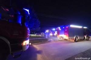 Świerzowa Polska. Zadymienie w jednym z domów