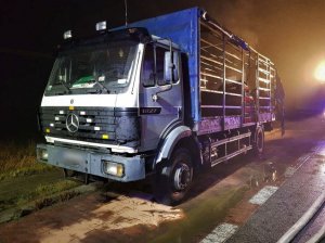 Trzcinica. Pożar ciężarówki z drobiem