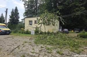 Upadek drzewa w Bratkówce. Jesion runął na budynek mieszkalny