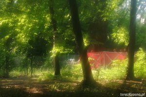 Wstrząsające odkrycie. Ciało 61-latka w stawie