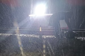 Wypadek kolejowy w Widełce. Ranny 49-latek