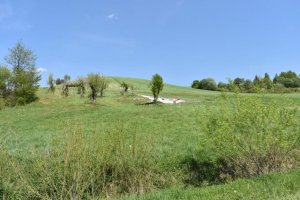Wypadek szybowca w Żernicy Wyżnej